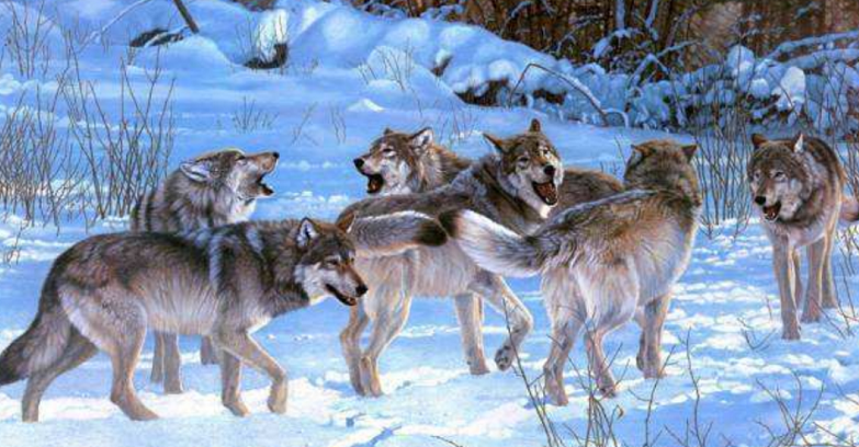 華為管理文化的兩個關鍵詞：簡單、狼狽為奸