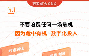 不要浪費任何一場危機，因為危中有機--數字化投入